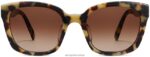 Warby Parker Aubrey N8ZXX8887 badem ezmesi kaplumbağa gözlük - Image 3