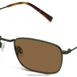 Warby Parker braswell N8ZXX8646 palmetto gözlük