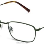 Warby Parker braswell N8ZXX873 palmetto gözlük