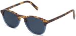 Warby Parker Düşme N8ZXX8634 hudson mavisi solmaya gözlük