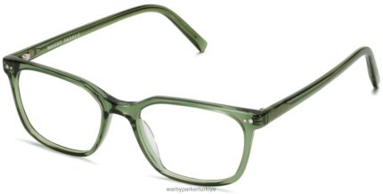 Warby Parker hava koşulları N8ZXX8166 biberiye kristali gözlük