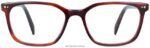 Warby Parker hava koşulları N8ZXX8167 çavdar kaplumbağası gözlük - Image 4