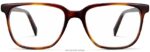 Warby Parker hayden N8ZXX8148 çavdar kaplumbağası gözlük - Image 4