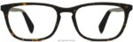 Warby Parker ıslak N8ZXX8157 viski kaplumbağası gözlük - Image 4