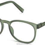 Warby Parker kızarma N8ZXX8239 su teresi mat gözlük