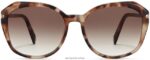 Warby Parker Nancy N8ZXX8863 cilalı altın ile susam kaplumbağası gözlük - Image 4