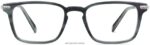 Warby Parker raul N8ZXX8294 cilalı gümüş ile çizgili pasifik gözlük - Image 4