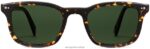 Warby Parker samir N8ZXX8756 siyah meşe kaplumbağası gözlük - Image 4