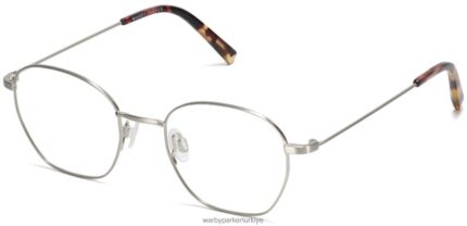 Warby Parker soyguncu N8ZXX8361 antik gümüş gözlük