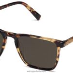 Warby Parker Sutton N8ZXX8883 ceviz kaplumbağası gözlük