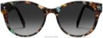 Warby Parker Annika N8ZXX8839 aventurin kaplumbağası gözlük - Image 4