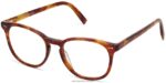 Warby Parker Carlton N8ZXX84 akçaağaç kaplumbağası gözlük